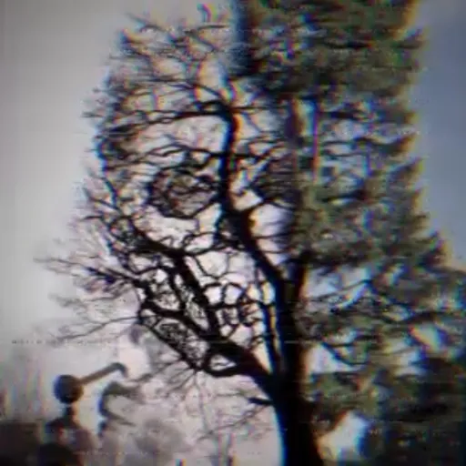 Rex9Four14two4540two