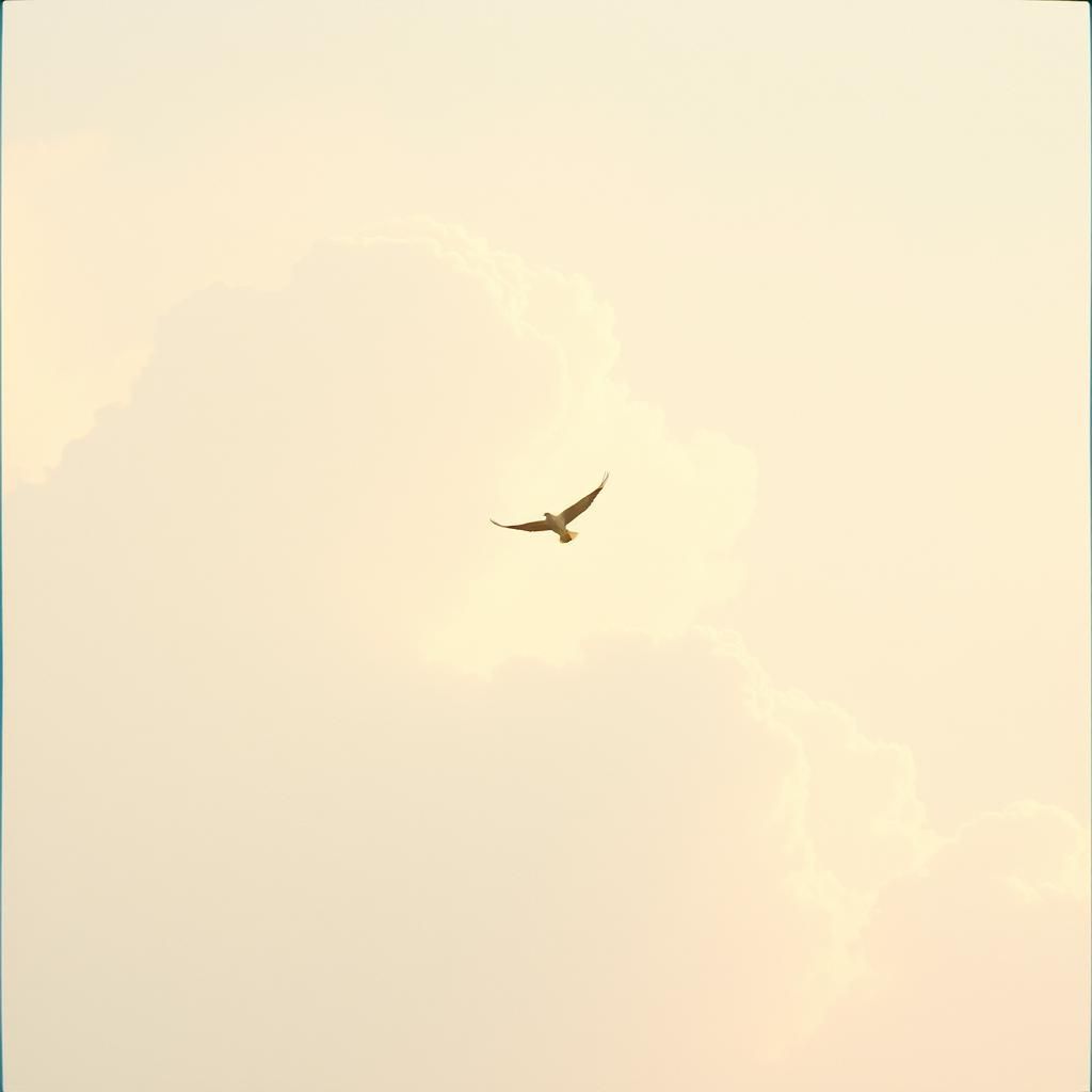 Chasing the air