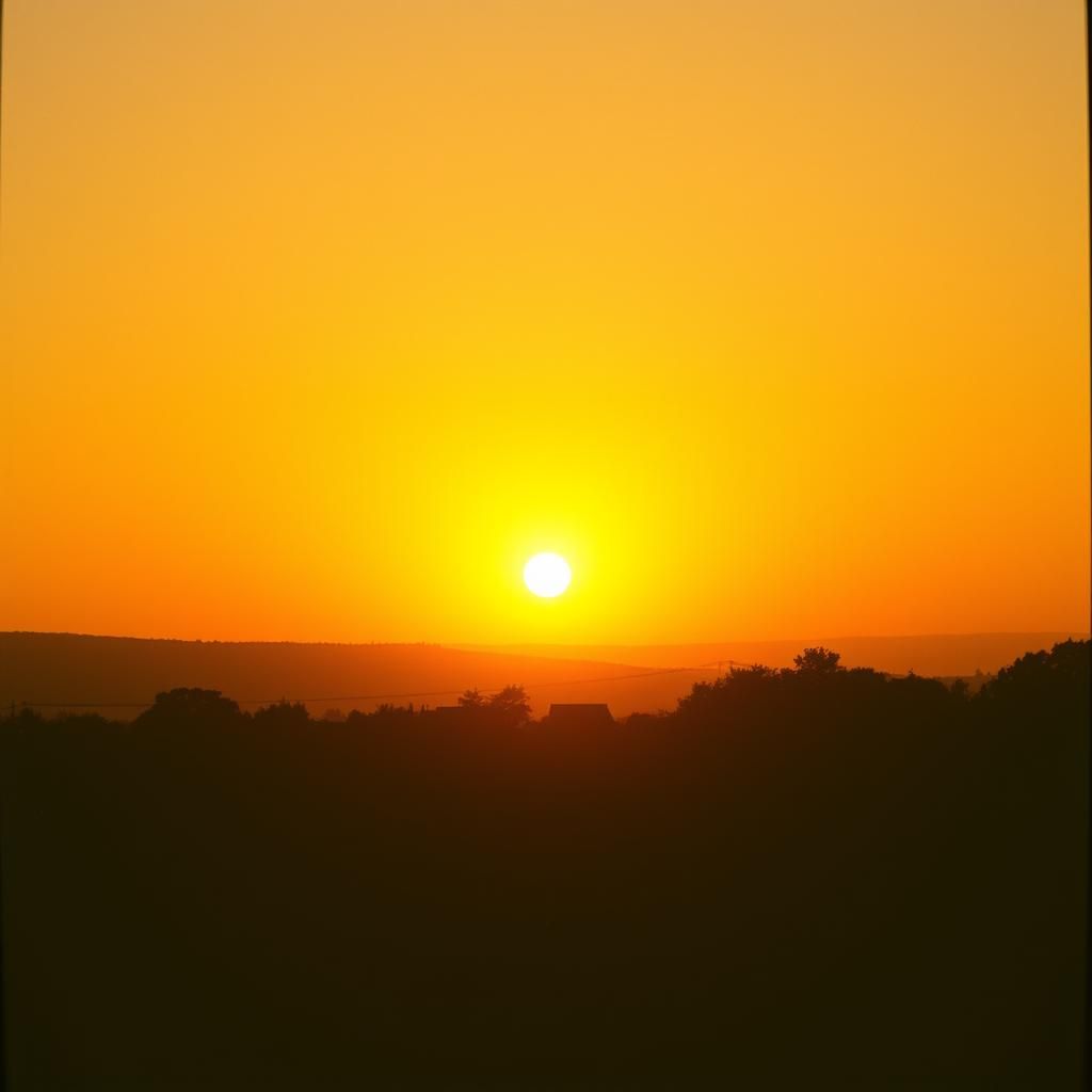 Run with the sun