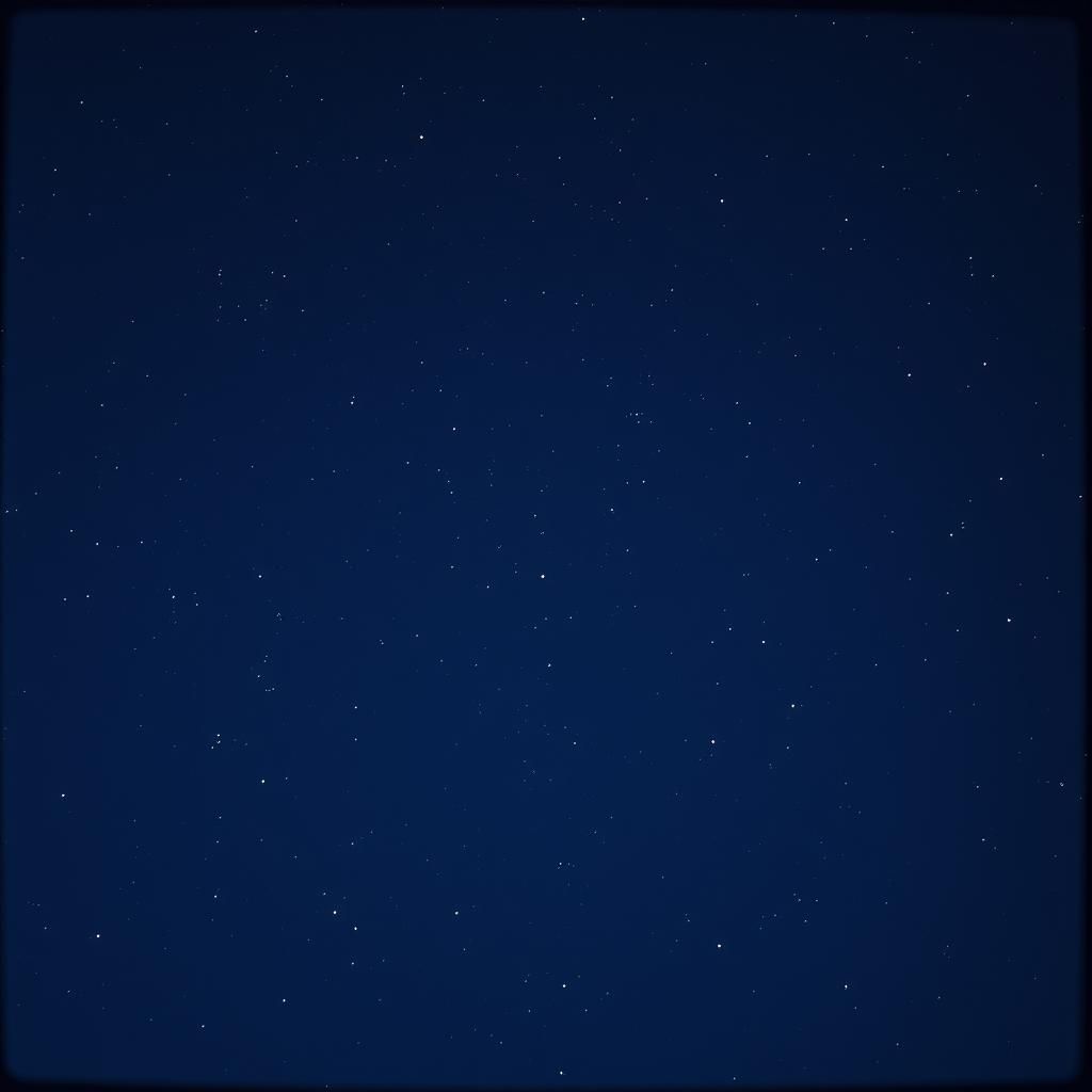 Under All the Stars