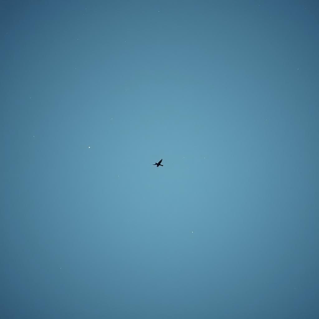 Voies Illimitées