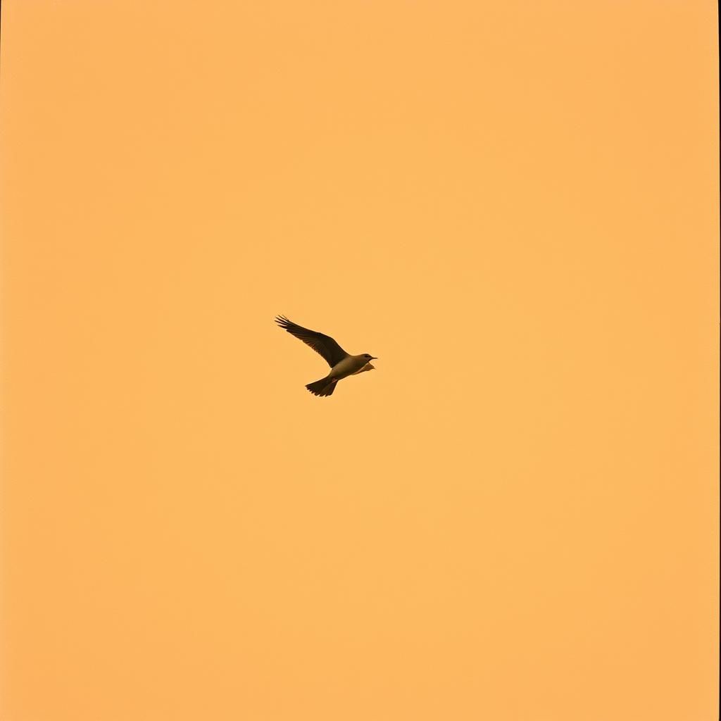 Wings of Rust
