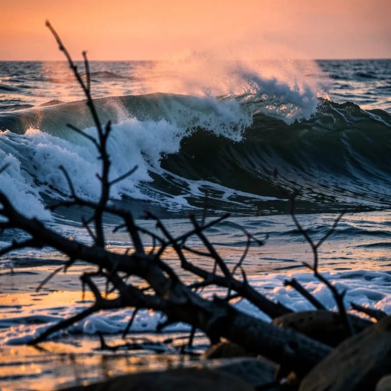 Hurricane