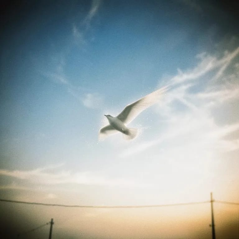 Forever Sky