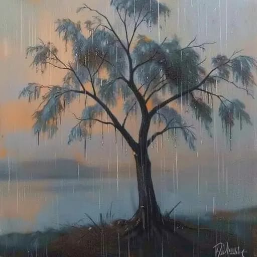 Olhos de chuva