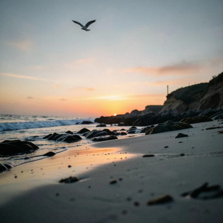 Coastline hearts