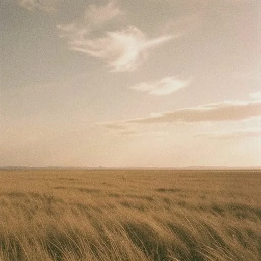 Sweeping Gusts