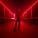 zed