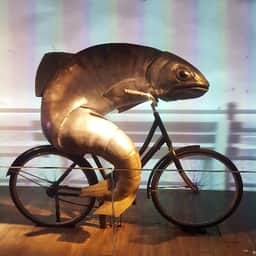 Fishslim