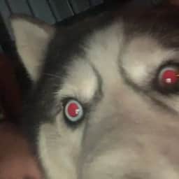 Danny_Boi67