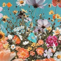 Flowersounds