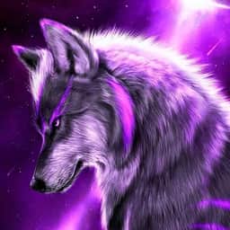 75night_howl