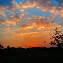 Wihan_Louw_2009