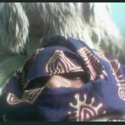 Lekan_Wode