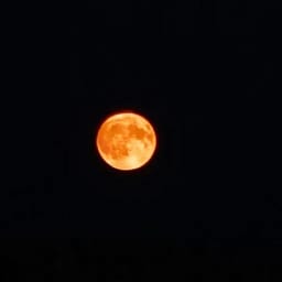 MoonFall