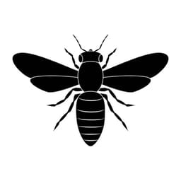Honey_Bee