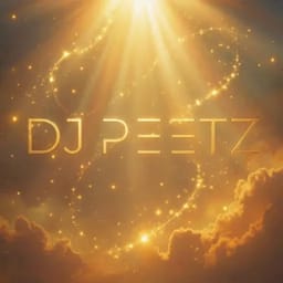 DjPeetz