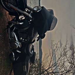 rebel
