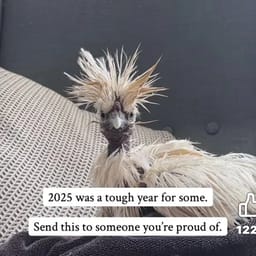 LogicFunky242