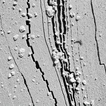 First Ones on This Dirt