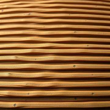 Let Me Tell You, Son