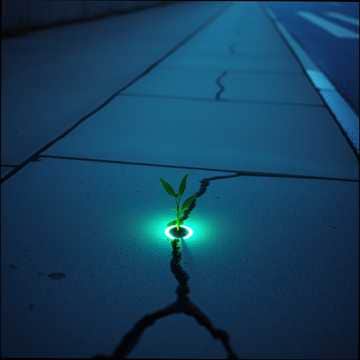 Feeling guilty bout something