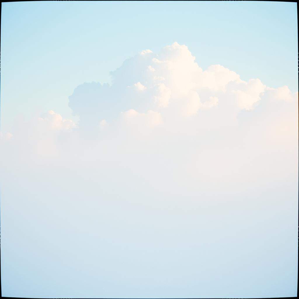 Letting Go and Embracing the Day