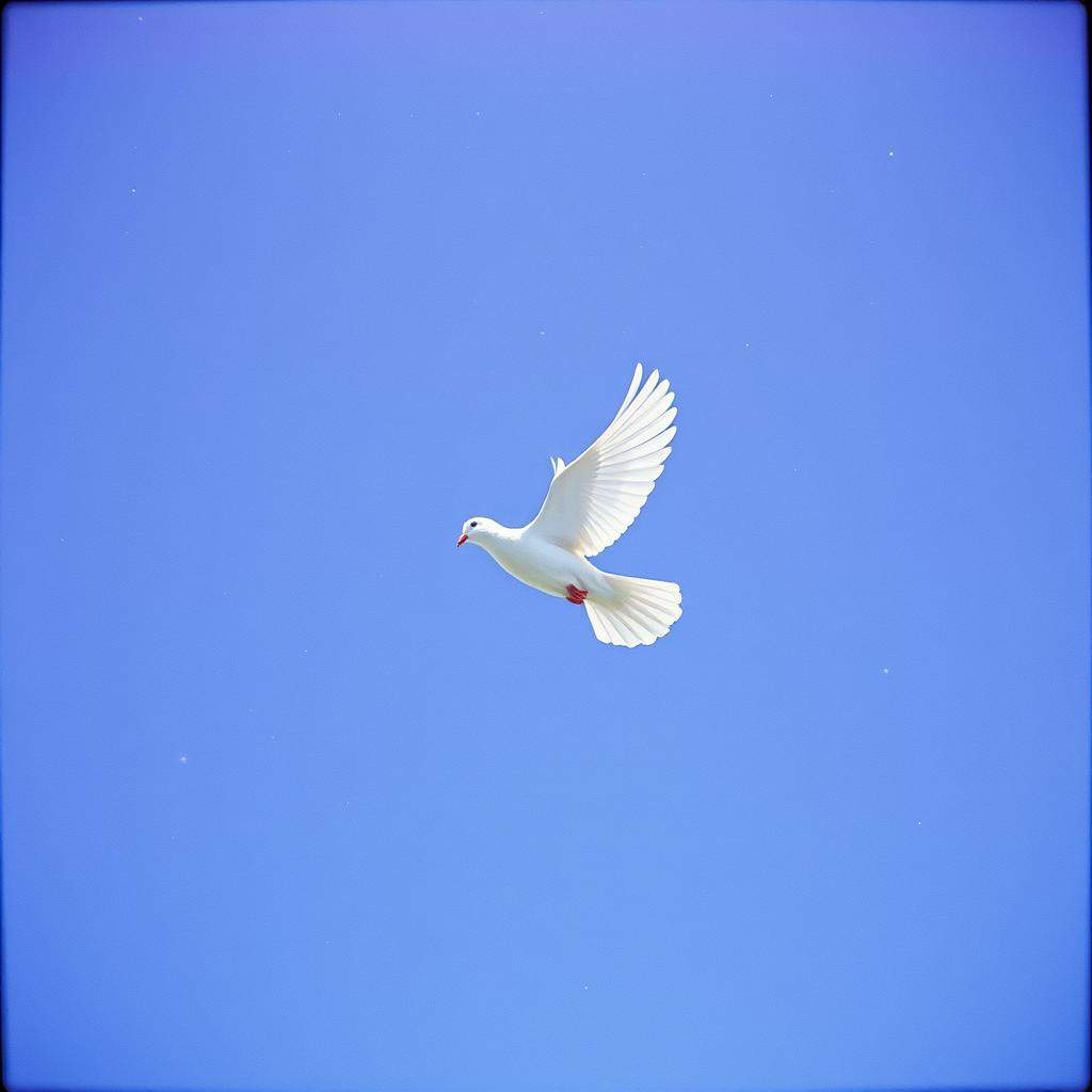 Elevo em oração ao universo