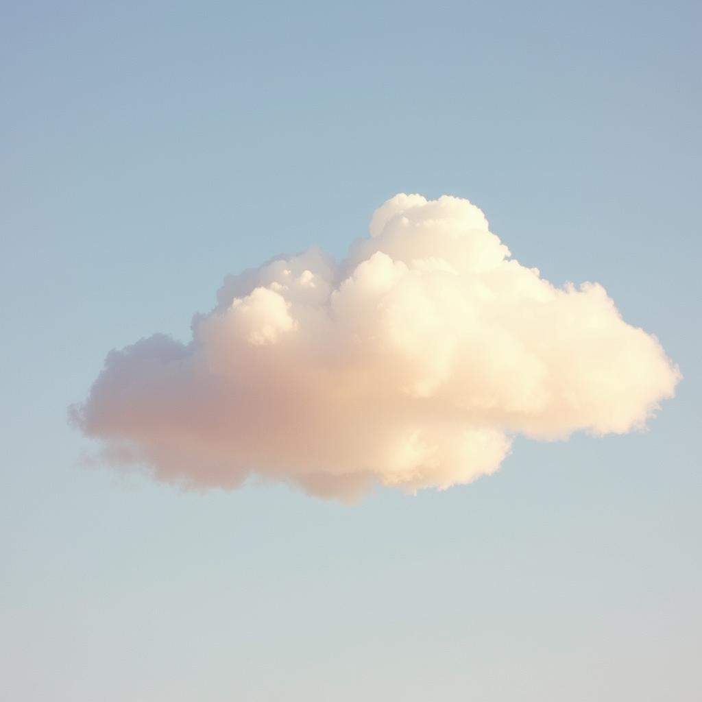 Mes petits-fils que j'adore