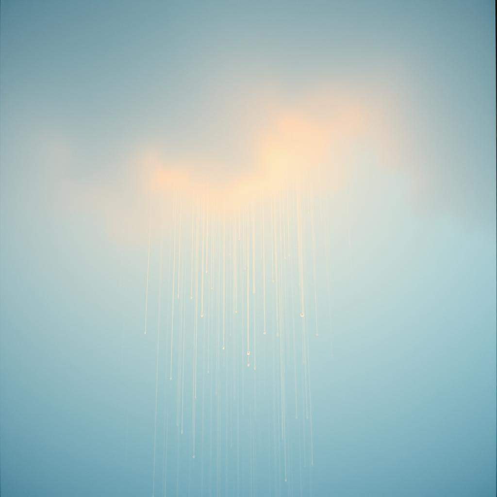 Echo in the Digital Rain