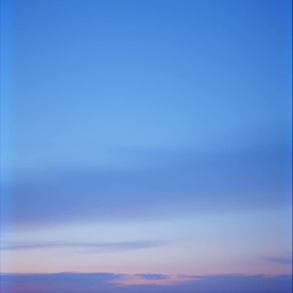 Gone Before I Had the Chance