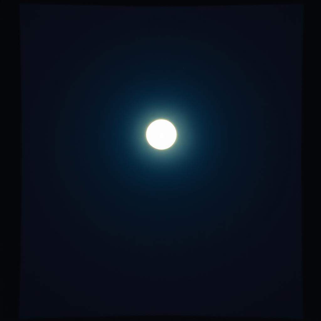 Moonlit sky 
