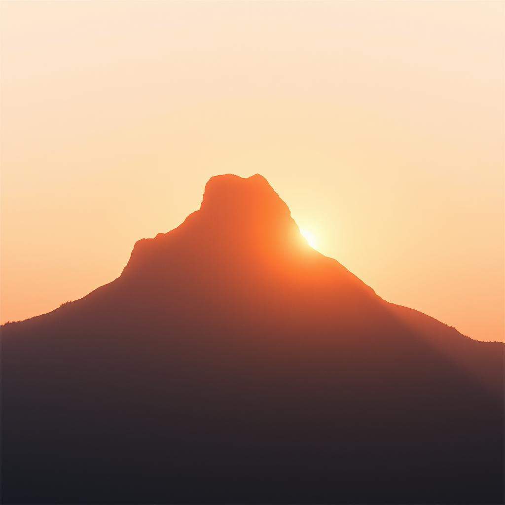 " From Shy to Shine" Album From Shy to Shine