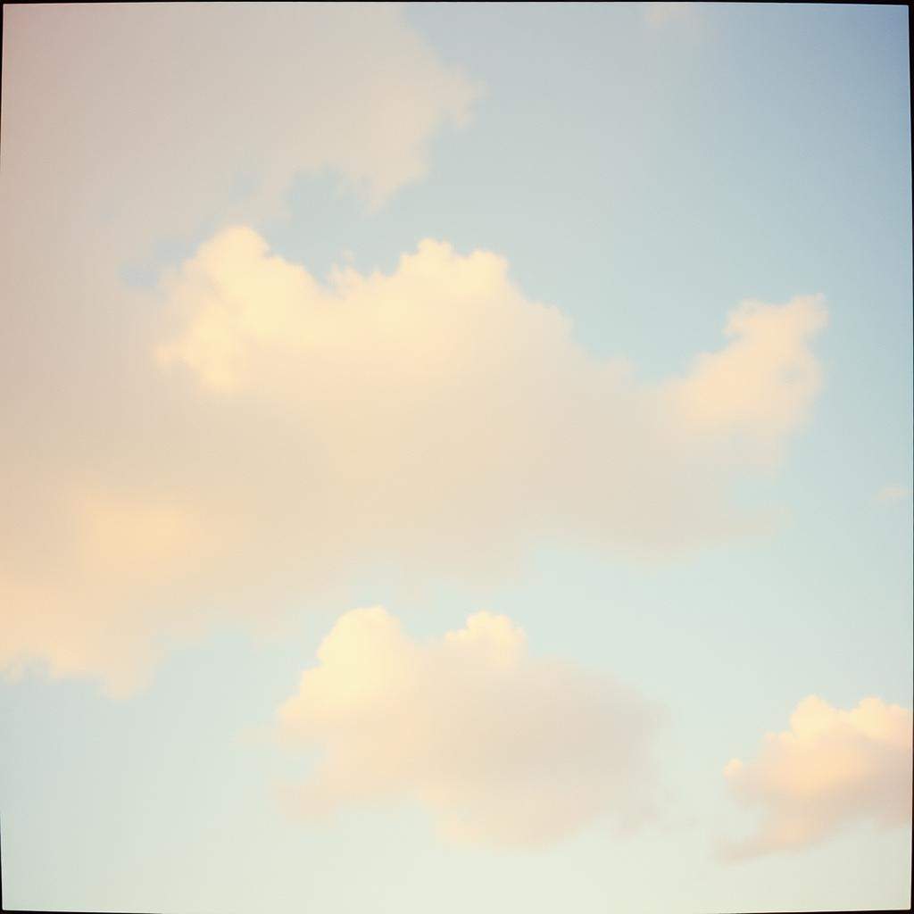 Pourquoi Tu Vois Pas (Why Can’t You See)