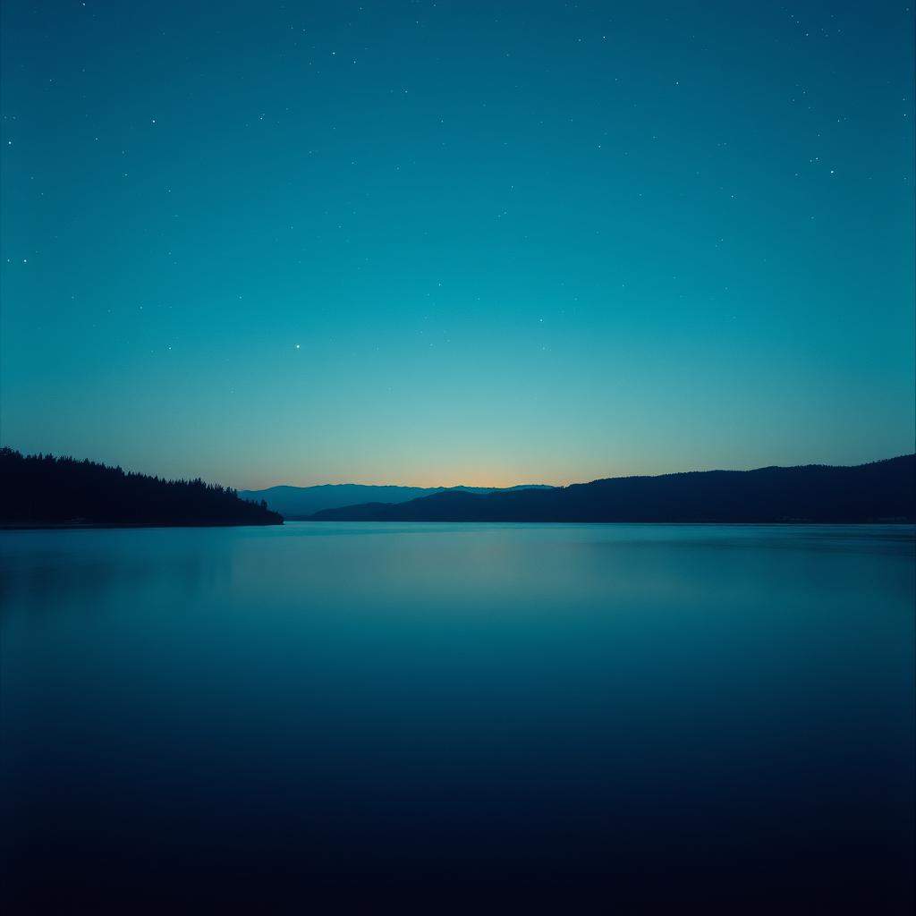 Touch by the Night(Ital.)