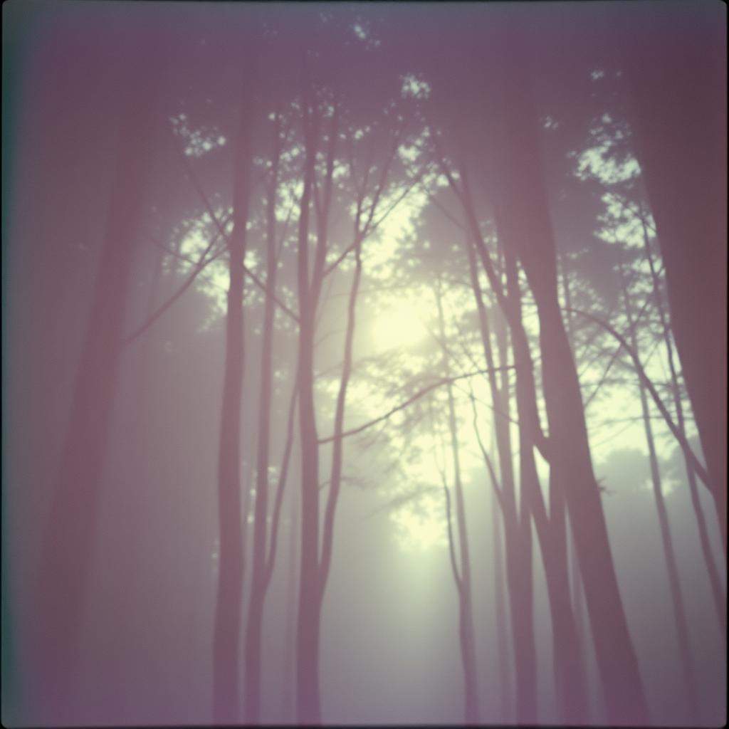 I Saw the Love Leave Your Eyes