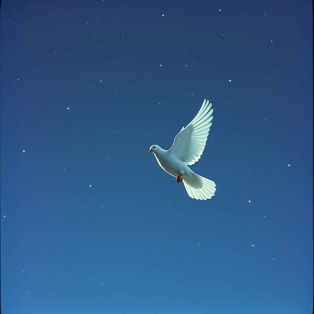 Elevo em oração ao universo