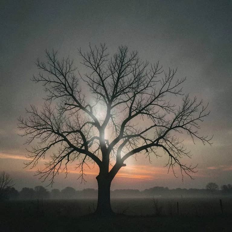 Broken Bonds in Missouri