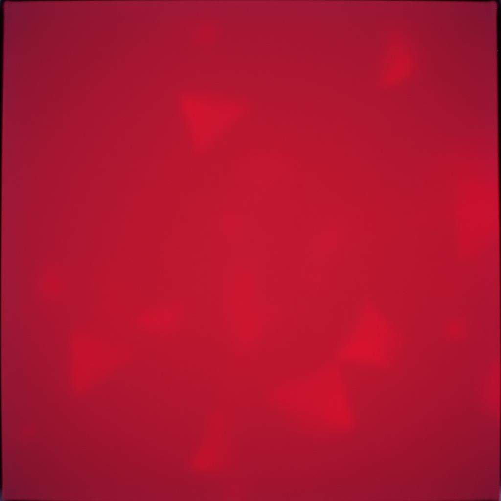 Velvet Fire