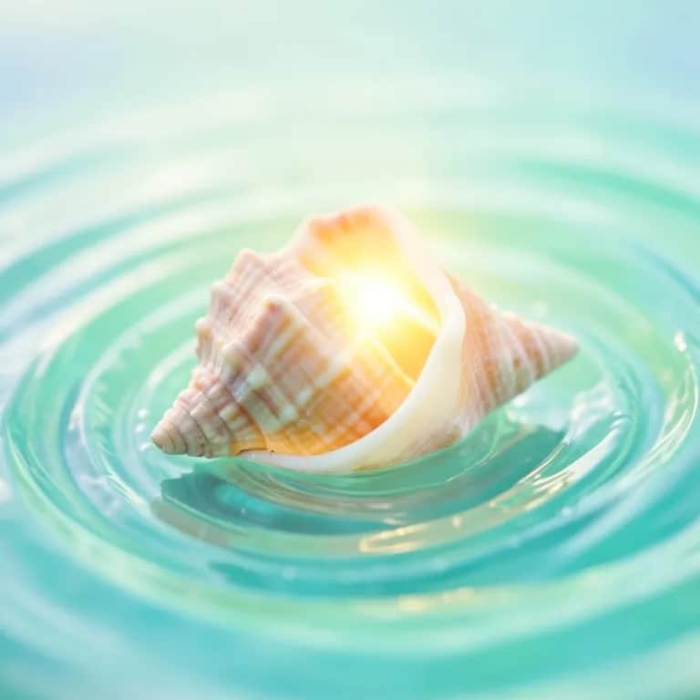 Carl the Crawlin’ Conch