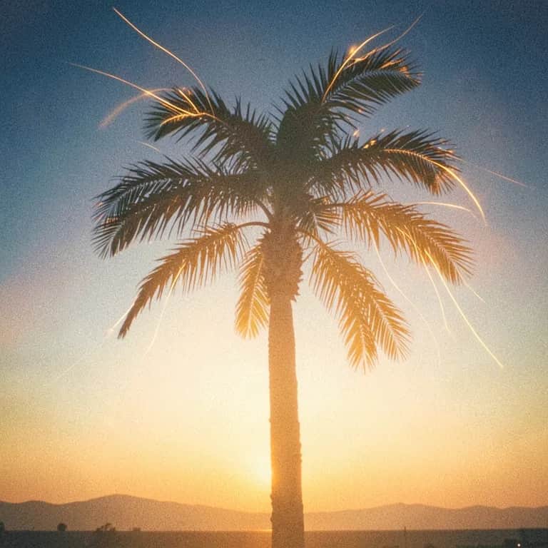 L' élue