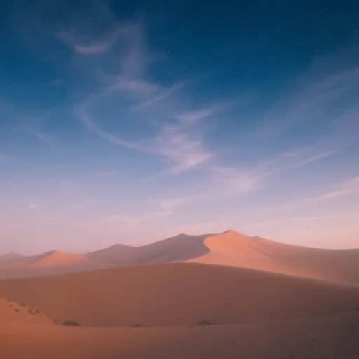 Introspección del alma