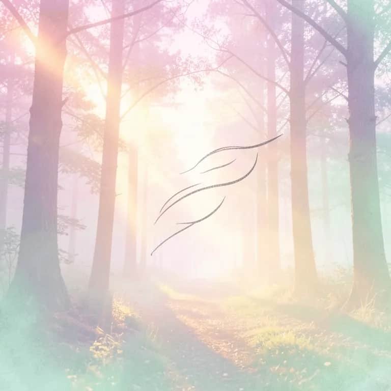 Center of the Universe