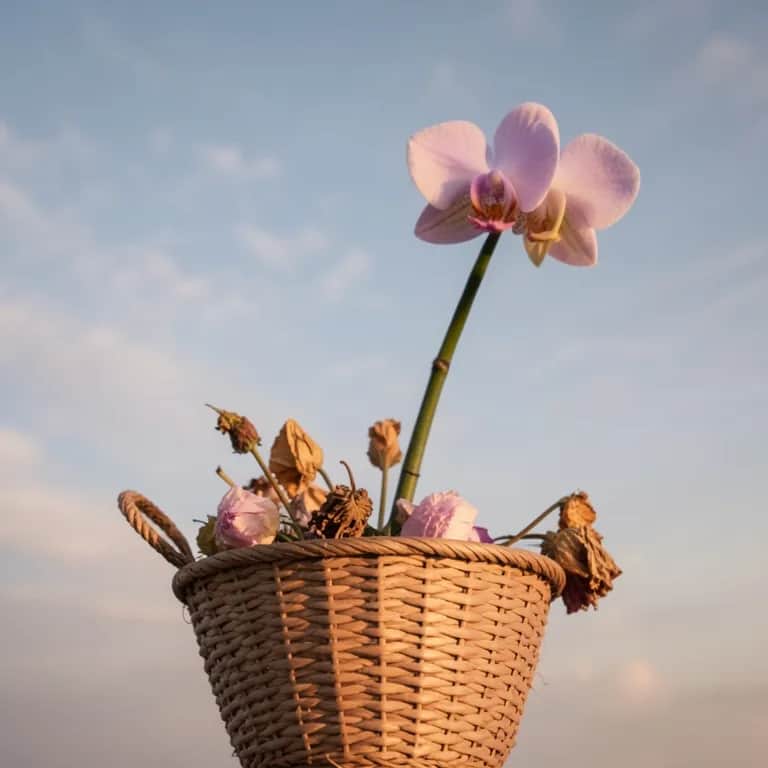 Mamahalin Mo Pa Ba Bukas