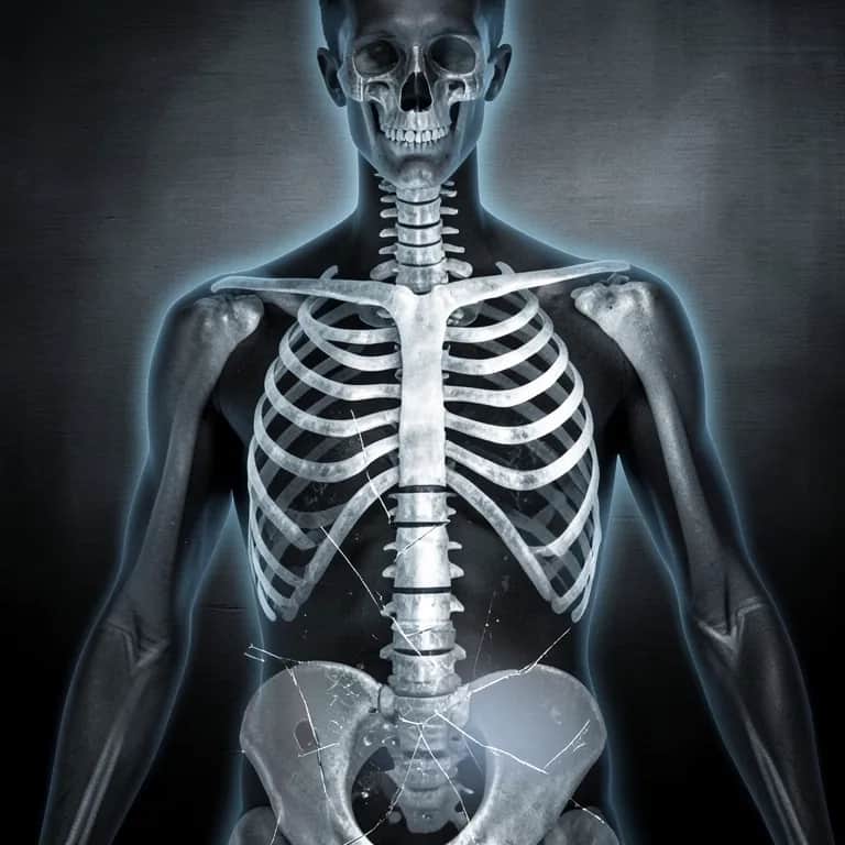 My Anatomy
