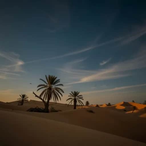 I Guess the Jokes on You