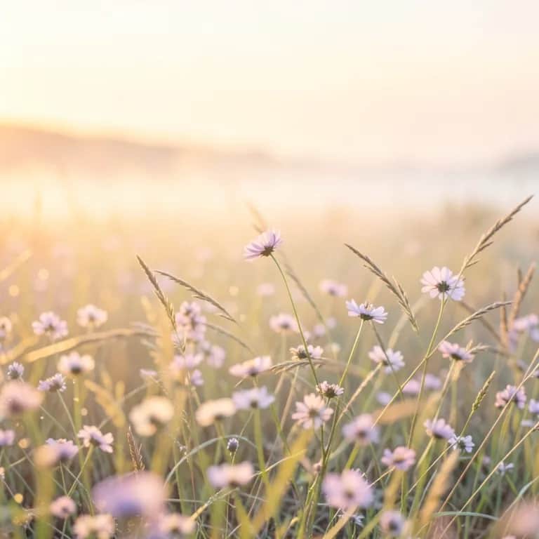 The Weightless Pulse,खामोश धड़कन