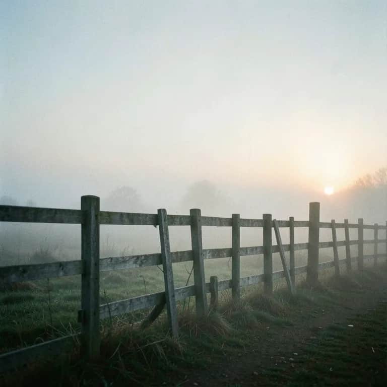 Fear of losing you brother