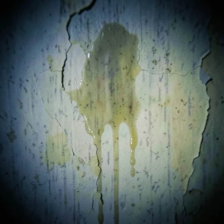 What is wrong with me