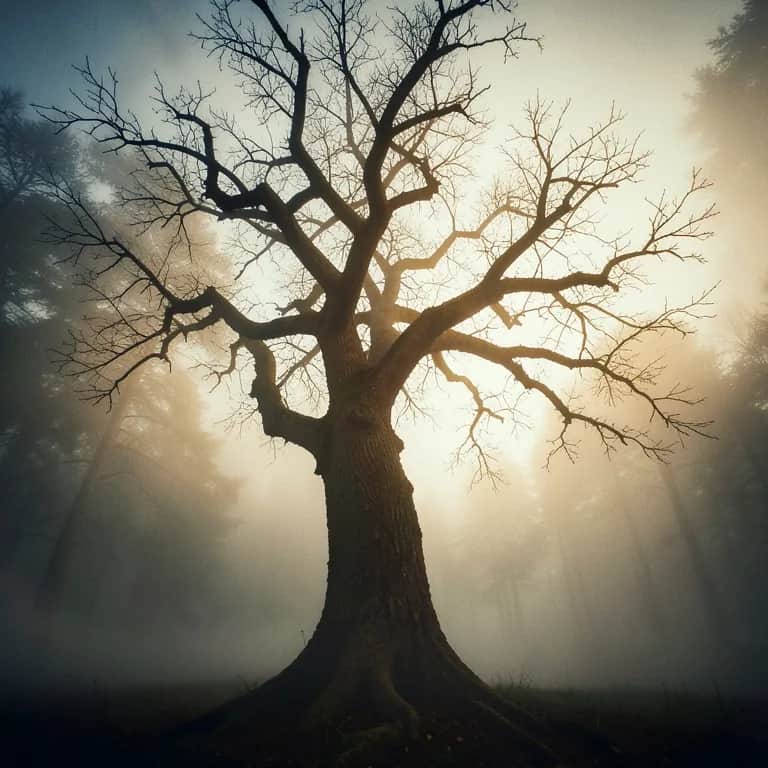 Barbă-n dor de tată